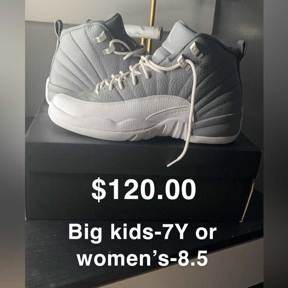 Jordan 12 stealth